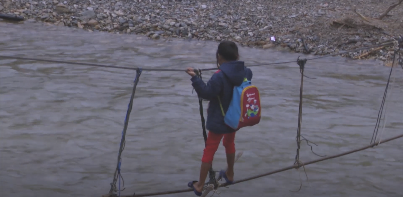 Manulife cam kết phát triển bền vững với sáng kiến phủ xanh Việt Nam