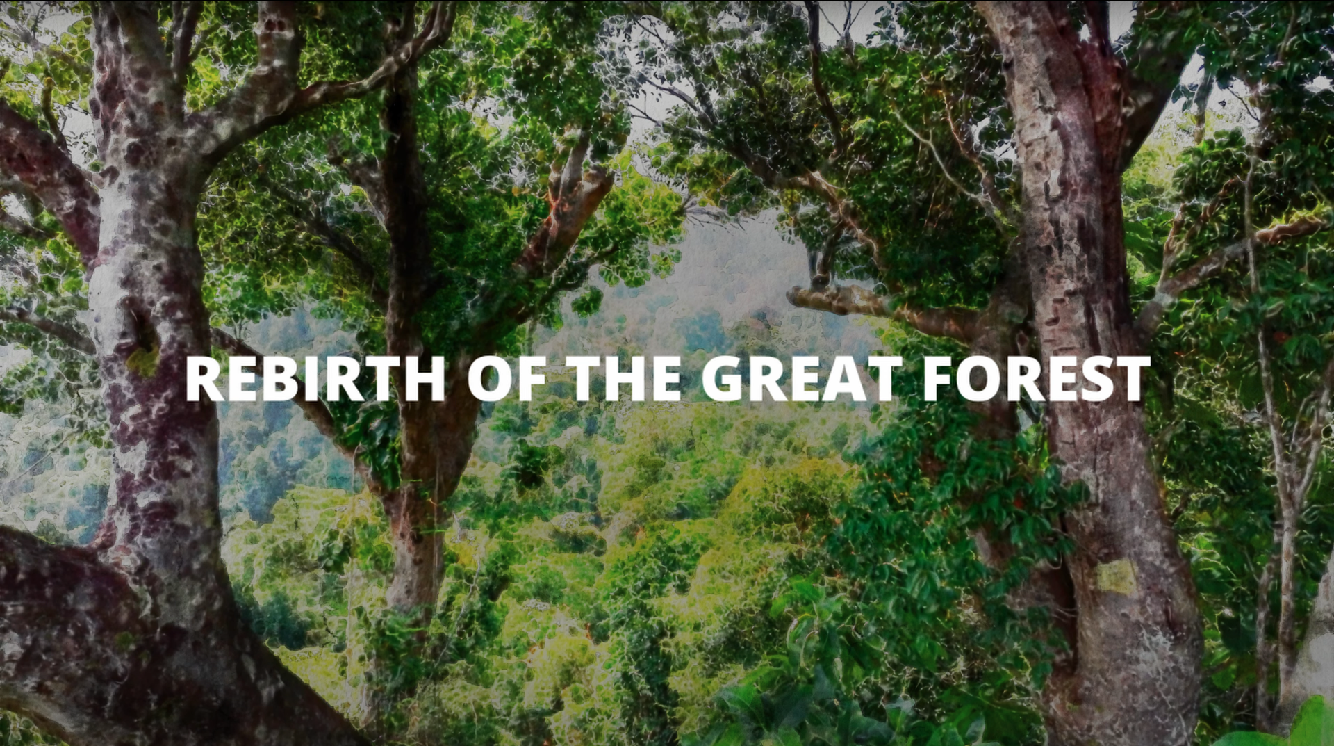 REBIRTH OF THE GREAT FOREST