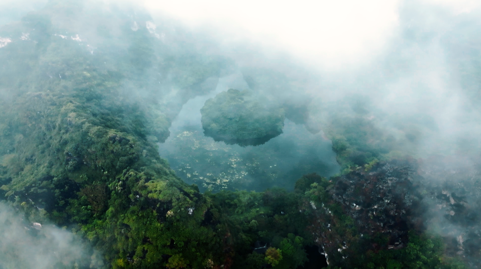 PHIM TÀI LIỆU NGẮN: DƯỢC TRÀ HOA VÀNG – TINH HOA LINH ĐỊA